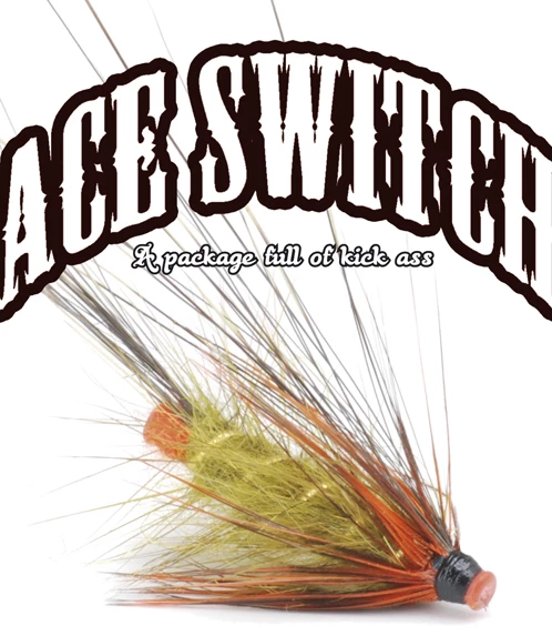 Vision Ace Switch -ampumapääsetti, 29g/450gr 3 Vision Ace Switch -ampumapääsetti, 29g/450gr